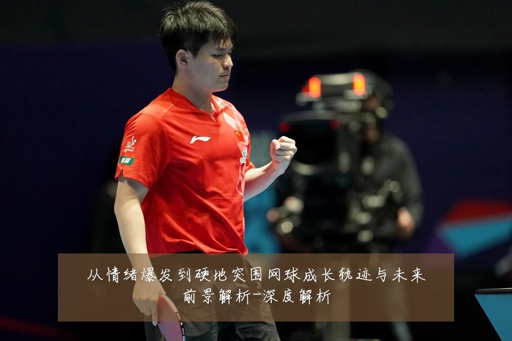 从情绪爆发到硬地突围网球成长轨迹与未来前景解析-深度解析